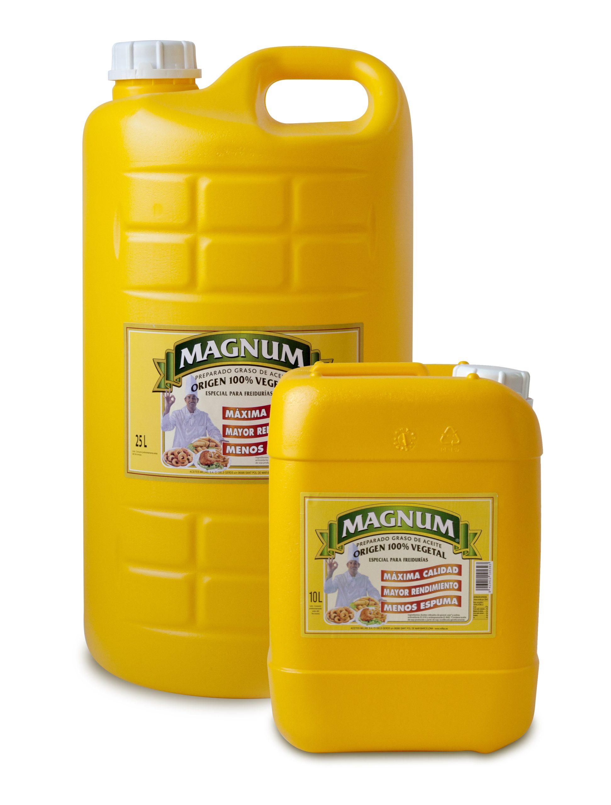 ACEITE ESPECIAL PARA FREIR 25 / 10 L